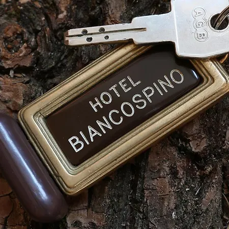 Biancospino Hotel 3*